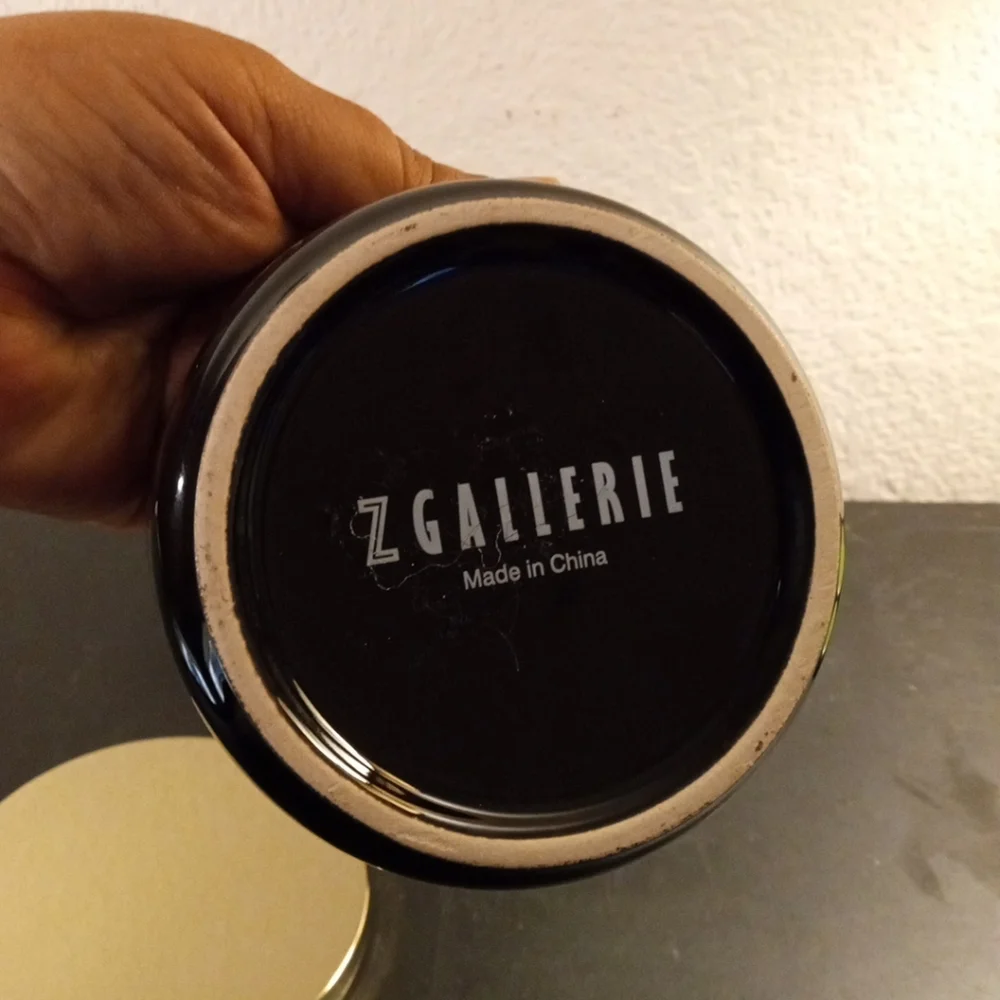 GORGEOUS NEW Z Gallerie Pair of 4